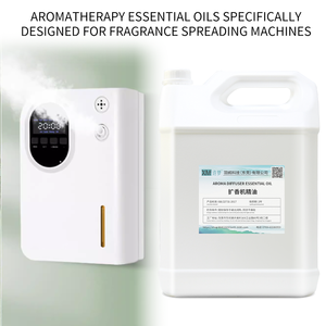 Khuếch Tán Tinh Dầu Cho Khách Sạn Nước Hoa Máy Hương Thơm Tự Động Hương Thơm Khuếch Tán Chất Lỏng Refill <span class=keywords><strong>1</strong></span> Lít Gói Trong Nhà Hương Thơm - Product Image 4