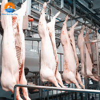 Ligne d'abattage de porcs hautement automatisée, équipement modulaire d'abattoir de porcs, machines d'abattage en acier inoxydable, projet clé en main