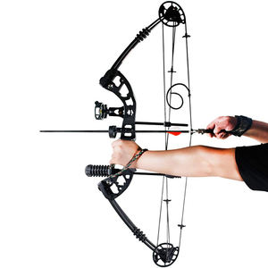 YML fábrica al por mayor polea compuesta arco y flecha M125 equipo de Tiro con Arco al aire libre 30-60 libras arco y flecha conjunto - Product Image 3
