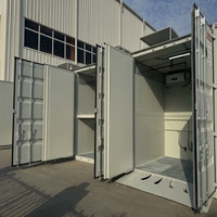 Armoire de stockage de produits chimiques dangereux en métal de haute qualité SCEELAB, type rack, pour utilisation en laboratoire, stockage de gaz toxiques, nocifs et inflammables