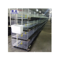 Poulailler de type cage pour élevage de poulets de chair à Dubaï, longue durée de vie, best-seller