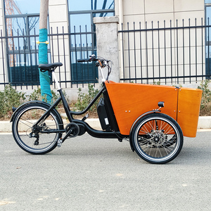 Entrepôt néerlandais de l'UE, vélo à 3 roues avec boîte de chargement, <span class=keywords><strong>tricycle</strong></span> de chargement à chargement frontal à vendre, vélo de chargement électrique - Product Image 4