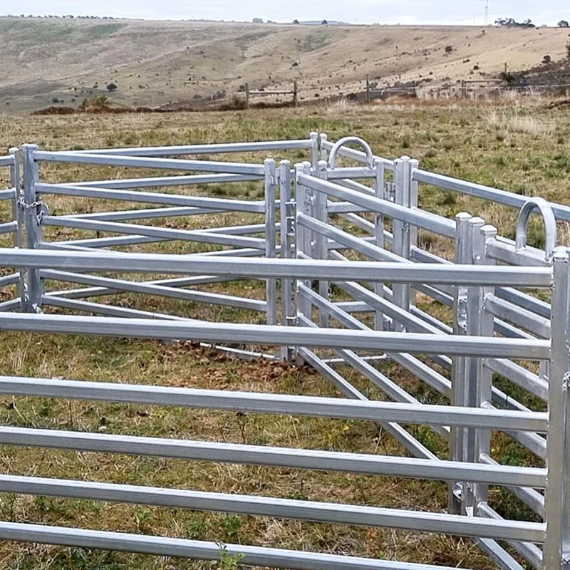 Panneaux de bétail de bétail de qualité supérieure à 6 rails