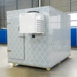 Walk in cool room refrigeration chamber refrigerator cold room freezer