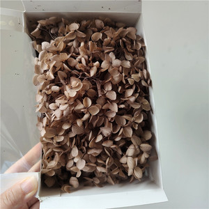 Hortensia fresca preservada colorida en caja <span class=keywords><strong>Flores</strong></span> secas para el Día <span class=keywords><strong>de</strong></span> San Valentín y la decoración <span class=keywords><strong>de</strong></span> Navidad Adornos artesanales - Product Image 6