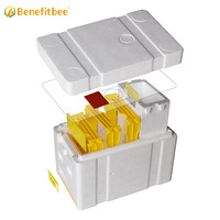 Boîte d'accouplement pour l'apiculture nuc Box Polystyrène Bee Hive