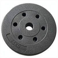 Plaques de poids en ciment PVC écologiques pour haltérophilie, avec logo personnalisé, petit trou de 28 mm et grand trou de 50 mm, vente en gros