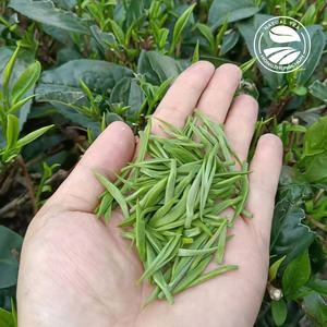 Clqq Alta Qualidade Bebidas Saudáveis Substitutos Do Café Natural Arábia Saudita Bulk Alta Montanha Pardal Língua Chá Verde - Product Image 5