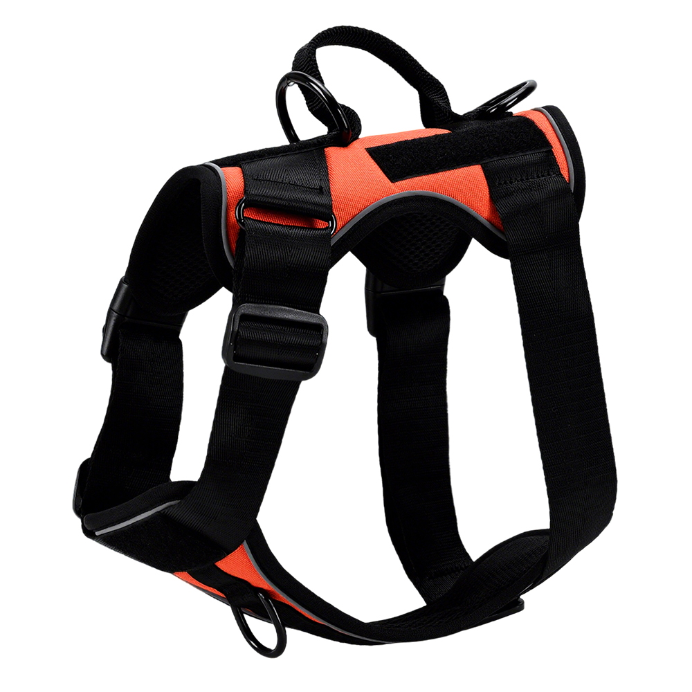 Safety Orange