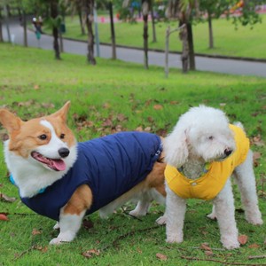 Abrigo acolchado de algodón para perros, ropa de invierno gruesa de color amarillo fluorescente y azul cielo para Corgi Golden Retriever, razas medianas y grandes - Product Image 4