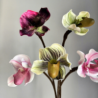 Model Penjualan Bunga Piphidium Paphiopedilum Berkualitas Tinggi Desain Floral untuk Ruangan Dekorasi Rumah Anggrek