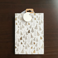 Sac en papier biodégradable de luxe durable avec logo personnalisé, design aseptique, et poignée en ruban torsadé pour l'emballage de bougies et de cadeaux artisanaux