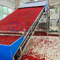 Automatische voedseldroger, chilidroger, groente- en zwarte peperdroogmachine, continue droogmachine