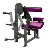 Équipement de gymnastique commerciale Muscles Stretch Workout Assis Back Extension machine SZP02