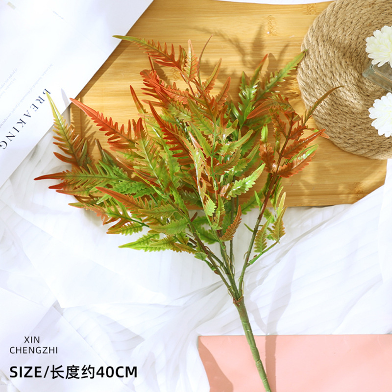 หญ้าเปลวไฟ (ไล่สีแดง-เขียว)