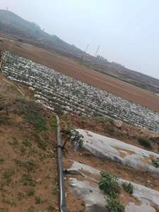 Manguera de riego agrícola de PE engrosado para transporte de <span class=keywords><strong>agua</strong></span>, conector enrollable para riego por goteo y lluvia, para <span class=keywords><strong>agua</strong></span> subterránea agrícola - Product Image 6