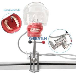 Simulatore di fantasma dentale del modello del simulatore della testa fantasma del manichino del supporto da tavolo dentale per istruzione del dentista - Product Image 5