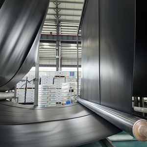 Geo Membrane HDPE No Algae <strong>Pond</strong> Liner Frame - Product Image 3