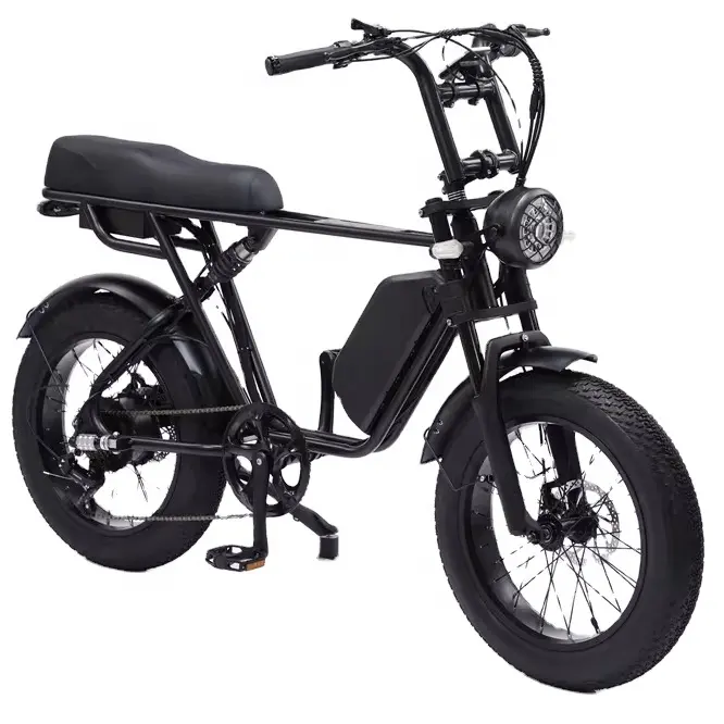 Vélo électrique moderne de type 73, vélo électrique bon marché de 48V, 17Ah, 750W, vélo électrique à gros pneus de 20 pouces, vélo électrique à suspension intégrale