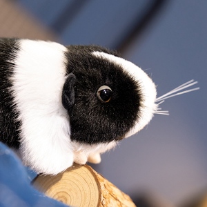 Juguetes de Peluche de Cobaya Realistas y Suaves con Relleno de Algodón PP, Diseño de Color Personalizable, Estilo Lindo y Divertido para Decoración de Habitaciones, Bolsa OPP - Product Image 5