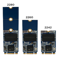 Grosir Pabrik Hard drive M.2 NGFF 2242 SATA3 64GB 128GB 256GB 512GB 1TB Solid State drive