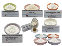 Espesante y Retenedor de Agua CMC para Pintura a Base de Agua, para Mayor Tiempo de Aplicación