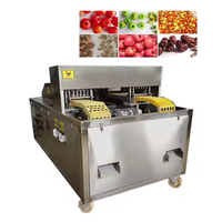 Machine de dénoyautage de prunier séchée de retrait de noyau de date d'olive de vente chaude
