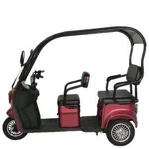 Tricycle électrique pour passagers, vélo à trois roues pour adultes, scooter électrique, <span class=keywords><strong>taxi</strong></span> avec toit - Product Image 1