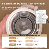 Termo JM 316 de Acero Inoxidable con Aislamiento al Vacío, 280 ml, Gran Capacidad, Elegante para Mujer, Tapa para Preparar Té, Correa Antideslizante, Disponible