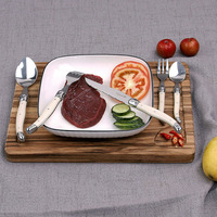 Vente directe d'usine manche en ABS en acier inoxydable ensemble de vaisselle ensemble de couverts ensemble de couverts couteau à Steak fourchette cuillère