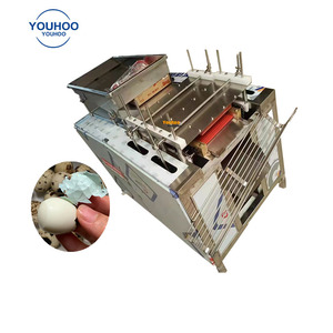 Endüstriyel kolay yumurta soyucu kazan <span class=keywords><strong>broker</strong></span> yapmak için makine haşlanmış bıldırcın yumurta - Product Image 1