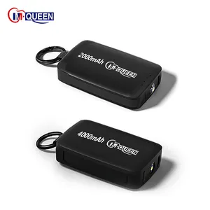 Logo personnalisé Chargeur portable Porte-clés Mini PowerBank Avec Câble Batterie Externe 4000mAh Petit porte-clés Power Bank Pour Téléphone