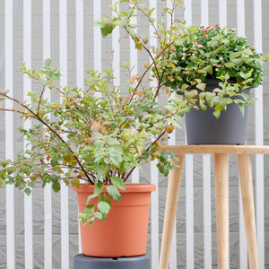 Jardinière en plastique durable, de haute qualité, écologique, moderne et minimaliste avec flux <span class=keywords><strong>d</strong></span>'air amélioré pour l'extérieur, le jardin et l'intérieur. - Product Image 5
