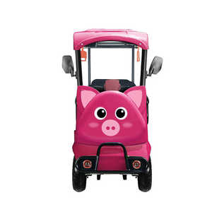 Voiture de tourisme écologique 800W pour quatre passagers, type carrosserie ouverte, vitesse 30 km/h, autonomie 70-90 km, certifiée CE, 400 kg+, respectueuse de l'environnement - Product Image 5