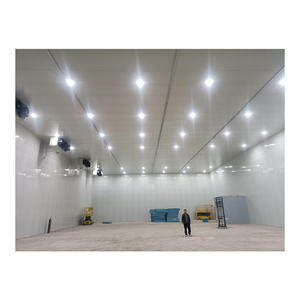 Professioneller Anbieter von Lebensmittel-Kühlhäusern Industrielle Gemüse-Kühlräume Kühlraum für Fleisch zum Verkauf - Product Image 6