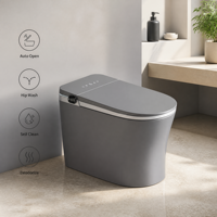 Toilette intelligente numérique avec réservoir encastré, nettoyage automatique, siège chauffant, séchage à l'air, télécommande, drainage en S-trap
