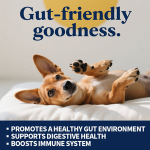 Polvo de soporte digestivo e inmunológico avanzado OEM con fibra prebiótica, enzimas digestivas, polvo de probióticos de calabaza orgánica <span class=keywords><strong>para</strong></span> perros - Product Image 2