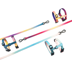 <span class=keywords><strong>Harnais</strong></span> Et Laisse Pour Petits Animaux Vente Chaude D'usine Multicolore <span class=keywords><strong>Harnais</strong></span> Et Laisse Pour Chat - Product Image 3