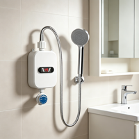 Chauffe-eau électrique mural instantané en acier inoxydable, commande manuelle, 110V, petit format, sans réservoir, chauffage rapide, pour hôtel et voiture