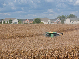 Moissonneuse-batteuse de marque réputée RG25 4LZ -2.5 G, nouvelle RG25 à vendre - Product Image 4