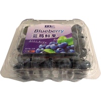 Penimbang Multi Kepala dengan Mesin Pengemas Baki Plastik untuk Buah Berry Biru Segar