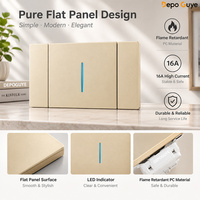 Combinaison interrupteur mural et prise de type 120 avec indicateur LED bleu – Prise électrique moderne pour maison, hôtel, bureau