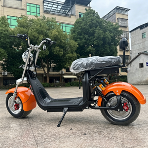 Scooter électrique Citycoco 2000W pour adultes - Batterie lithium 60V - Scooter à pneus larges - Scooter tout-terrain hors route avec homologation EEC/COC - Product Image 6