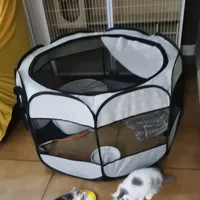 Cage écologique amovible de luxe pour chats, lapins, poussins, chiens, maison d'élevage pour animaux de compagnie, ensemble complet