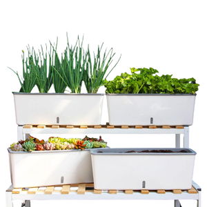 Grand pot auto-arrosant étroit en plastique avec fenêtre de visualisation du niveau d'eau <span class=keywords><strong>pour</strong></span> la culture de légumes et de plantes sur <span class=keywords><strong>balcon</strong></span> domestique - Product Image 1