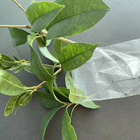 Sacs à fermeture éclair pour légumes, perforés et respirants, taille personnalisée, impression en héliogravure numérique, matériaux compostables CPP/OPP/PE/PLA