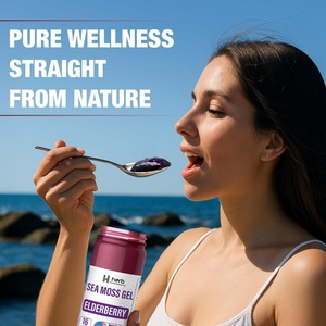 مشروب غذائي صحي للبالغين بنكهة التوت البري من طحالب البحر الطبيعية لدعم المناعة والألياف الغذائية بعلامة تجارية خاصة - Product Image 4