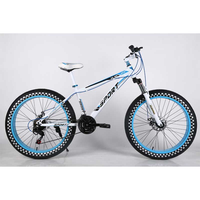Pédalier 53/39, cadre, pneu 25 Xz-104, hybride, Chine, Punarello Rapid 2.0, 21 vitesses, cadre en acier, jantes en alliage d'aluminium, vélo de route à disque