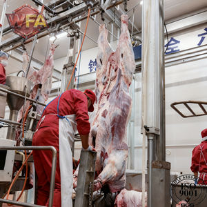 Équipement d'abattage de bétail à poussée manuelle facile à utiliser, matériel d'abattage de moutons pour abattoir - Product Image 4