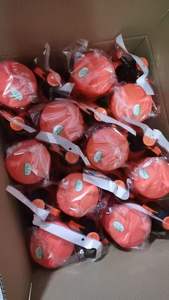 पौधों के लिए प्लास्टिक इलेक्ट्रिक गार्डन प्रेशर स्प्रेयर के साथ रिचार्जेबल पंप स्प्रेयर के साथ रिचार्जेबल पंप स्प्रेयर - Product Image 4